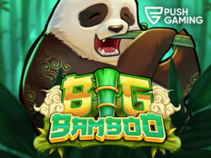 Casino slot game9